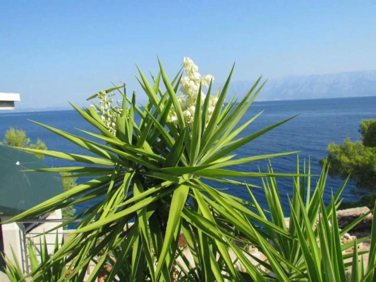 Holiday House Jakov Gdinj Exterior photo