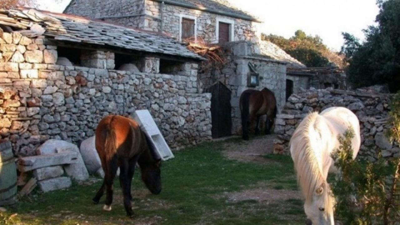 Holiday House Jakov Gdinj Exterior photo